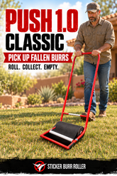 Illustrative scene of a homeowner using the red Push 1.0 Sticker Burr Roller on a lawn.